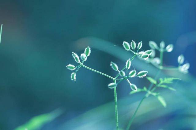 
10月1日-3377官网(图5)