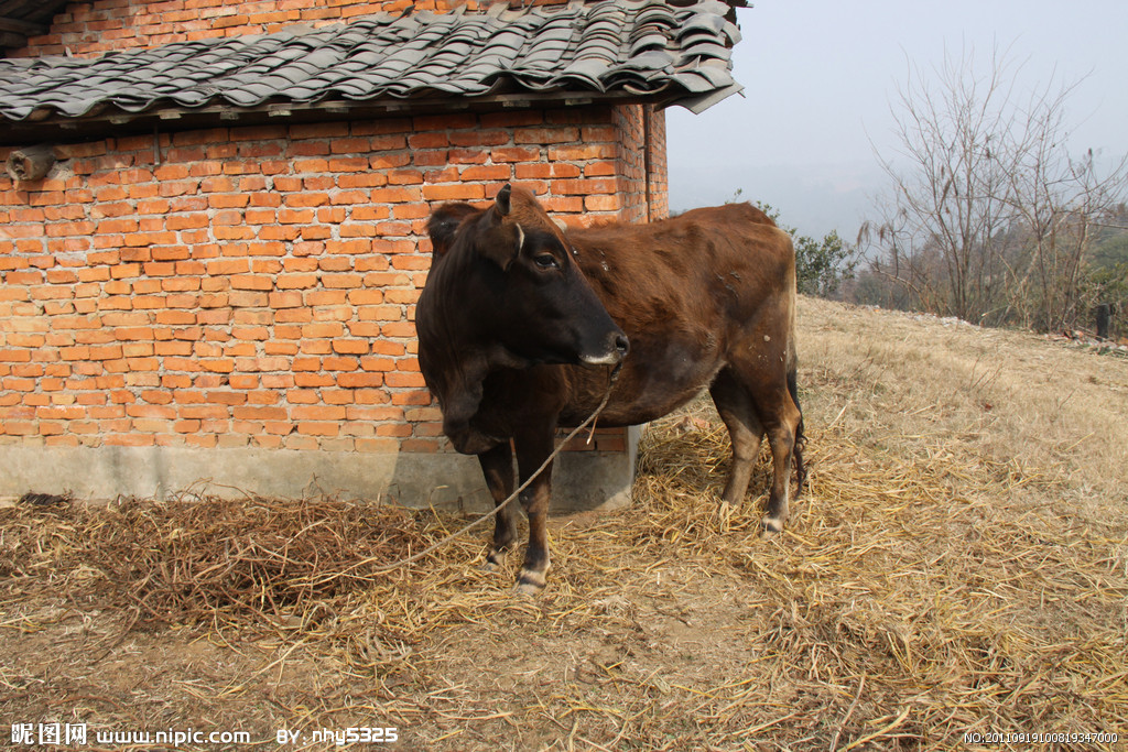 ‘3377app’中甲第3轮赛程摆设计划!冲超势在必得,亚泰、绿城誓取三分(图3) ‘3377app’中甲第3轮赛程摆设计划!冲超势在必得,亚泰、绿城誓取三分(图3)