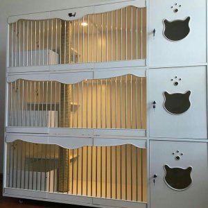 月圆之夜怎么玩 月圆之夜玩法介绍‘3377app’(图1) 3377官网