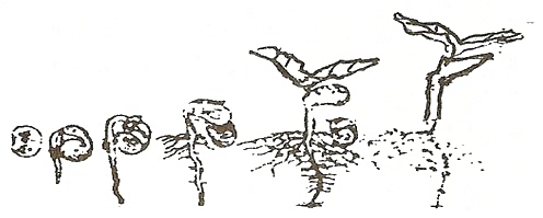 一场惨败袒露河北中原最大短板 已成降级热门 王牌外援难掩失落|3377体育(图4) 3377体育