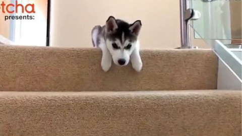 3377app-五矿有色控股召开干部大会 宣布领导班子调整决定(图4) 3377体育