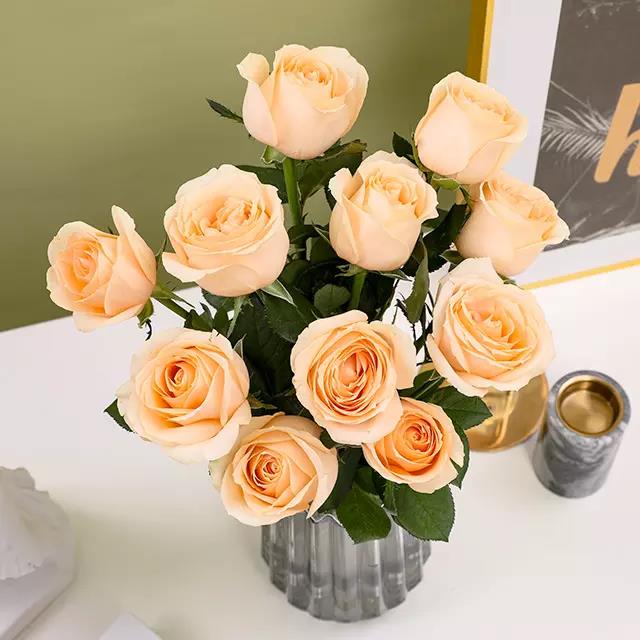 3377app-五矿有色控股召开干部大会 宣布领导班子调整决定(图3) 3377app-五矿有色控股召开干部大会 宣布领导班子调整决定(图3)