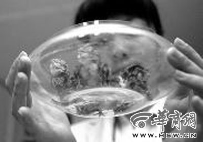 【3377体育】闪耀暖暖星钻和粉钻有什么不同 星钻和粉钻不同用法(图1)