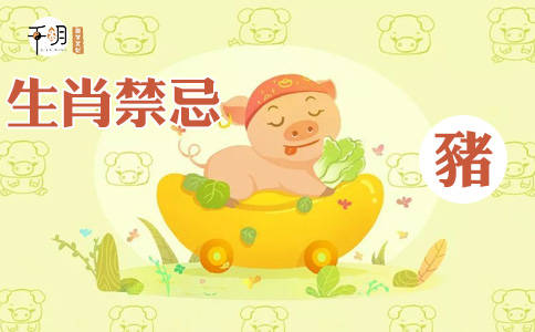 
95年属猪几月命欠好 1995属猪人遇牛年怎么样：3377官网(图2)