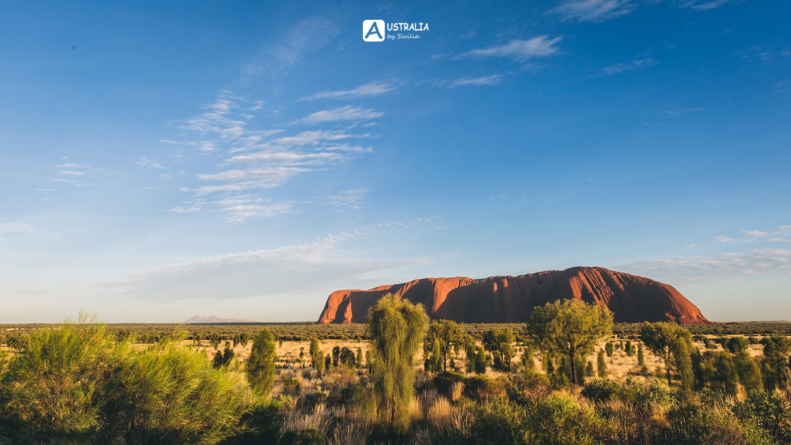 【3377官网】
中甲联赛前12轮 “西北狼”上座率傲视群雄 有一点很惋惜(图1) 3377体育