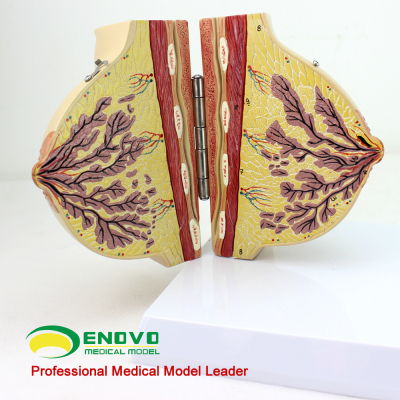 2020赛季中超最终射手榜助攻榜 巴坎布金靴 韦世豪本土最佳射手:3377官网(图2)
2020赛季中超最终射手榜助攻榜 巴坎布金靴 韦世豪本土最佳射手:3377官网(图2)