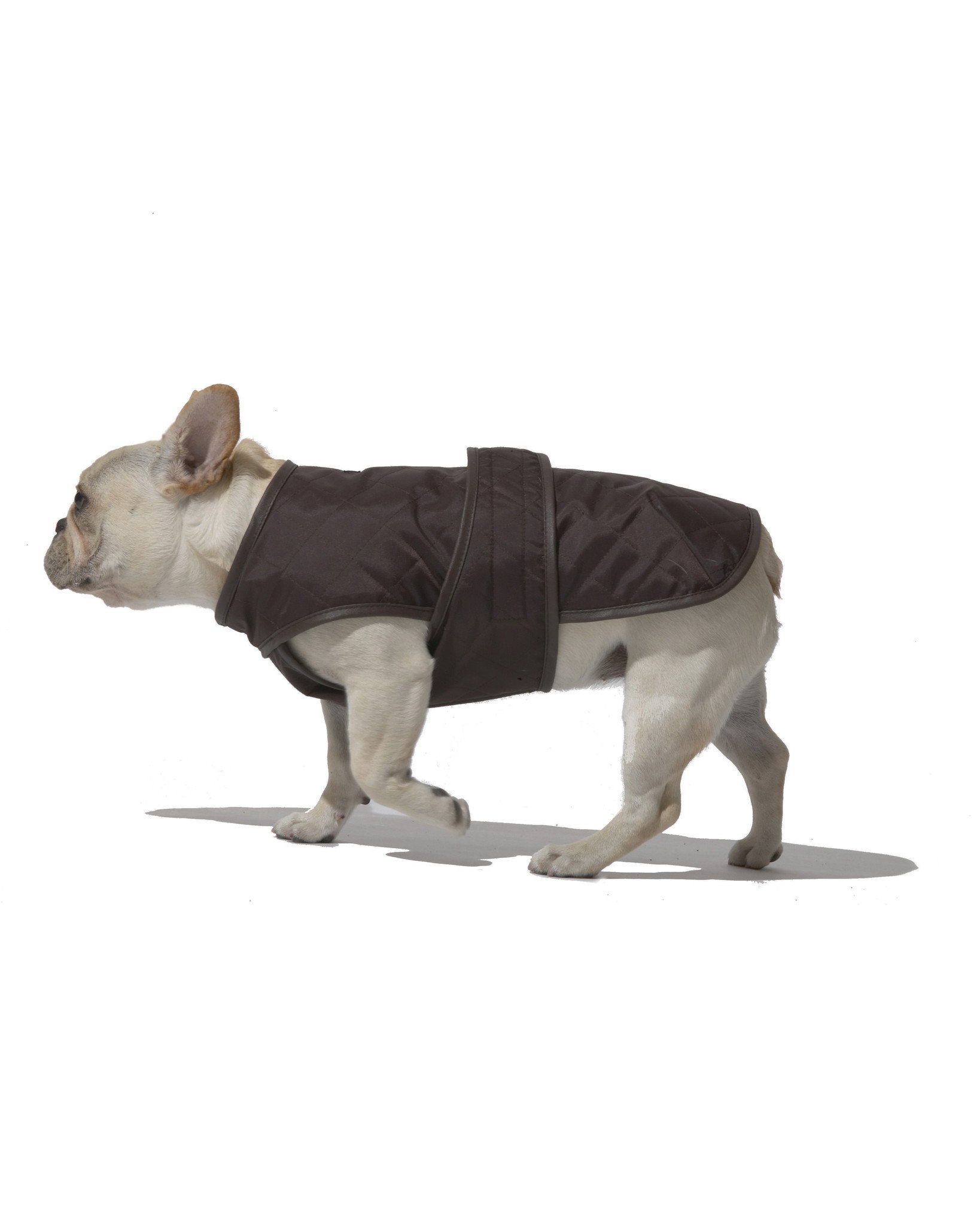 ‘3377app’西宁市对电解铝等产业实施工业污染源全面达标排放计划(图2) 3377官网