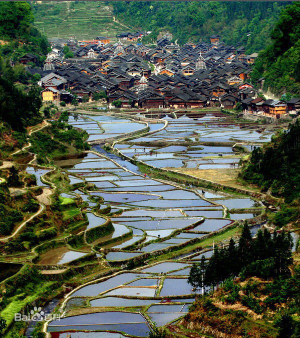 王者荣耀台服蝙蝠侠忍徒之翼皮肤好吗 传说对决蝙蝠侠忍徒之翼多少钱：3377app(图1)