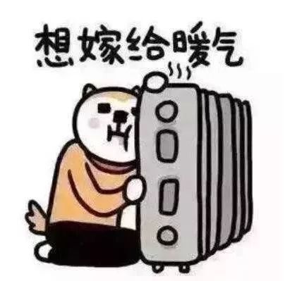 3377体育