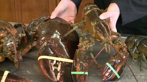 3377体育|赛事预告 | 8月31日，浙江绿城主场迎战呼和浩特(图2)