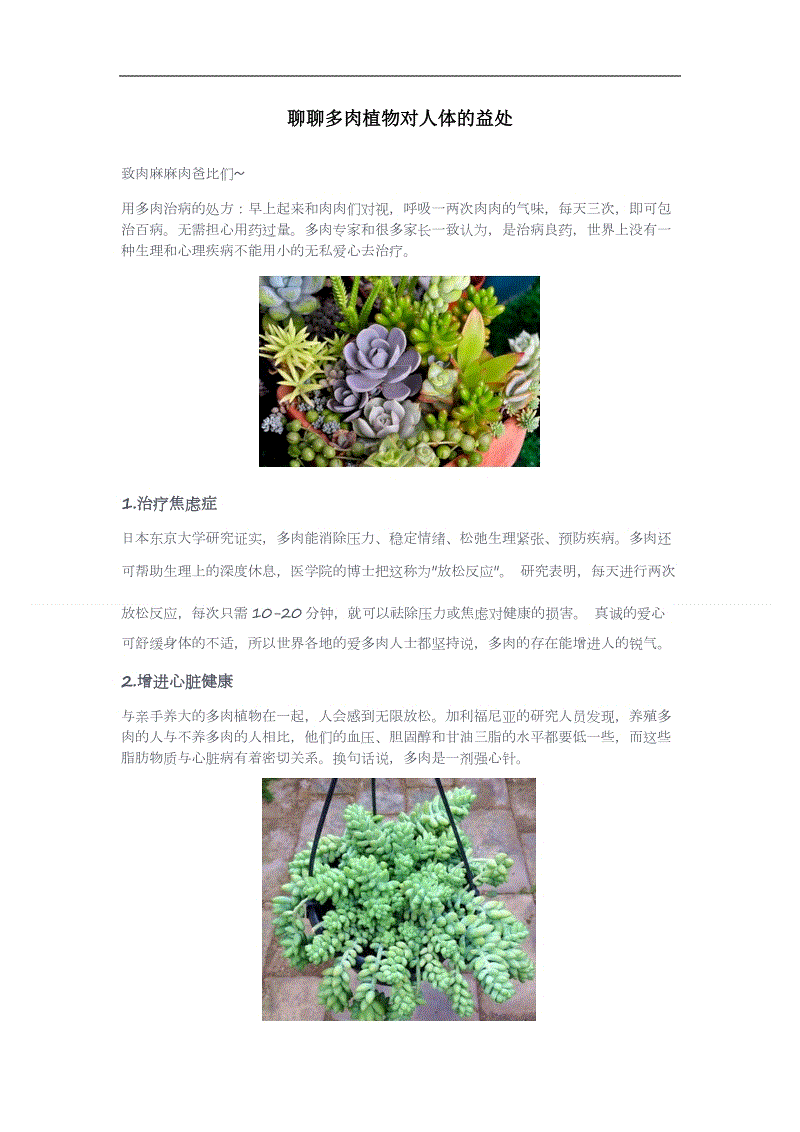 3377官网